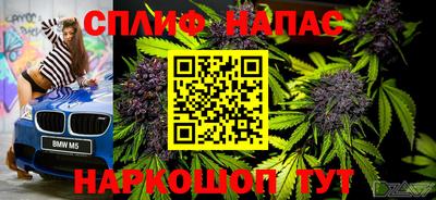 стафф Пенза