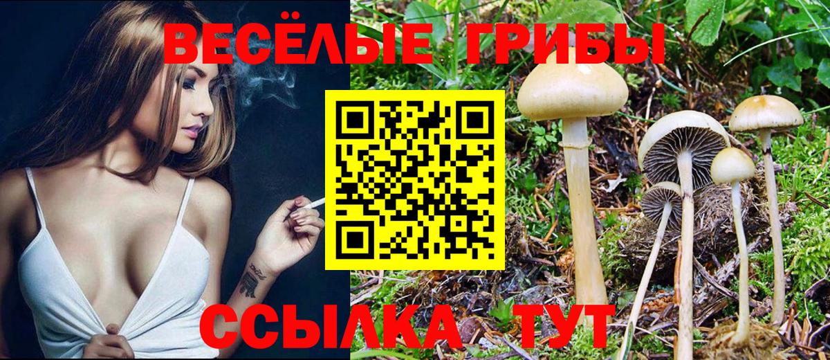 Псилоцибиновые грибы Magic Shrooms  Вход с VPN  Анжеро-Судженск 