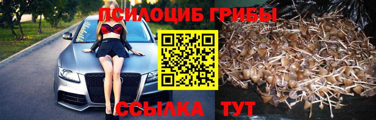 Галлюциногенные грибы мухоморы Анжеро-Судженск